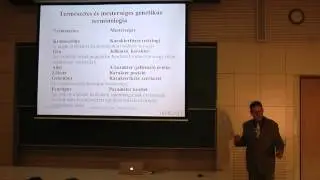 Optimum keres&eacute;s genetikus algoritmusokkal