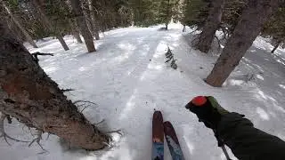 Ski Moab | Pre Laurel Peak, La Sal Mountains