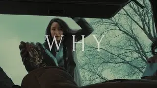 WHY