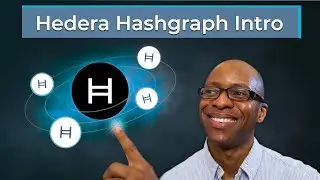 What is Hedera Hashgraph? (Why A Hashgraph Is Not A Blockchain)