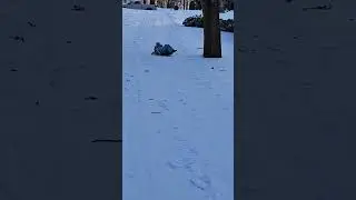 going down crazy hill 😜 🤪 💪
