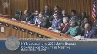 NY State Legislature