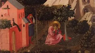 Honoring God With the Body: The Call to Sexual Holiness