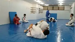 DLR to mount Koji Shibamoto