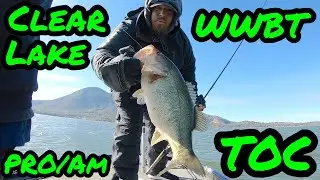 A Bass Tournament Experience | Fishing for a New Bass Cat | WWBT Clear Lake Pro/Am TOC November 2020
