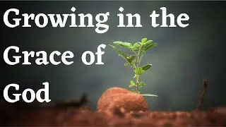Growing in the grace of God (Sinhala Preaching/Sermon by Ps Damith)