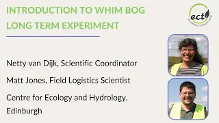 Introduction to Whim Bog Long-term Experiment 360-degree video