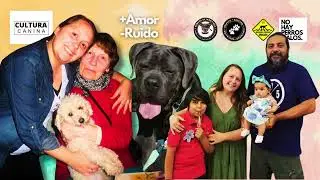 🎬 Perros de Mart&iacute;nez: Amor, Comunidad y Revoluci&oacute;n Canina 🐾 | Historia Real