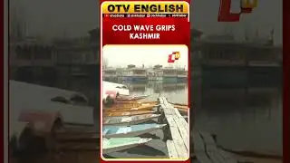 WATCH | Cold Wave Grips Kashmir Valley As Temperature Drops In Srinagar, J&K