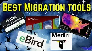 The BEST Birding Apps, Sites, Resources, and Tools to Track Migration in South Florida