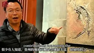 Explore the Hidden Geological Wonders of Guizhou&rsquo;s Geological Museum
