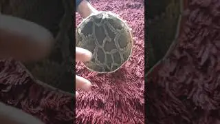 Камбоджийская дарбука