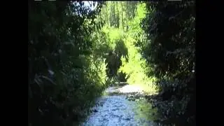 The Bluff Creek Croucher Video...What is in the Cloth?