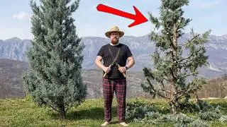 I decided to become a gardener at 37. Is it working?