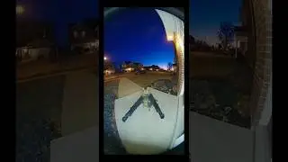 Security Camera Catches Mysterious Cat at Night | Sora 2 Realistic Night Scene| Cat on Porch
