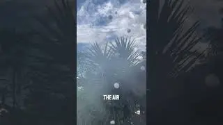 Fog Bubbles That Will Blow Your Mind 😱