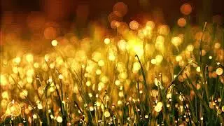 [Chill Space Mix Series 027] Natural Life Essence: Ambient Reform Mix