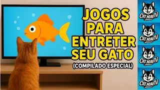 Jogos para Entreter seu Gato (Compilado Especial)