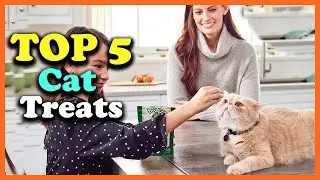 Top 5 Best Cat Treats of 2025