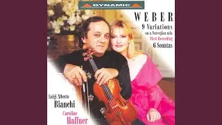Sonata No. 6 in C Major, Op. 10, J. 104: II. Largo