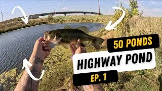 Fishing a Highway Pond! | 50 Ponds Series Ep. 1