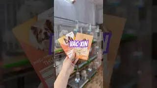 Những điều cần biết về vắc xin cho c&uacute;n y&ecirc;u | B&aacute;nh B&ograve; Pom b&aacute;n ch&oacute; phốc s&oacute;c 0988883791