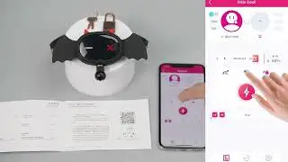 QIUI App Instructions for Little Devil Shock Collar