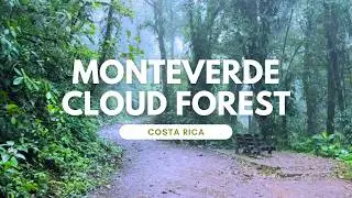 One of the most beautiful forests in the world -  Monteverde Cloud Forest, Costa Rica