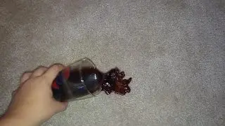 How to remove dark beer on light, white, beige carpet | Carpet Cleaning Brighton MI