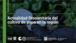 Actualidad fitosanitaria del cultivo de papa en la región