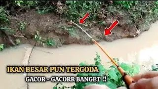 HOKI !! MANCING DI SELOKAN SETELAH HUJAN IKANNYA BABON BABON 
