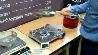 CBR-P01 Handheld Pan Roaster: Instructions for Use