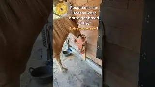 Equithink: People ask me; Doesn't your horse get bored of the spinner puzzle? #enrichmentforhorses
