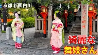 美しい舞妓さんが行き交う京都祇園エリアを観光する