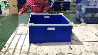 Customized blue folded pp flute box with frames -Polyflute Supplier