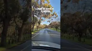 Cruising Adelaide