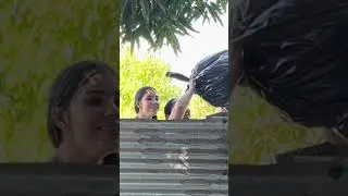 Le tiran la basura 🤣