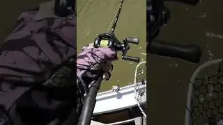 INSTANT STRIKE! ⚡️ Metal Blade vs. Aggressive Fish