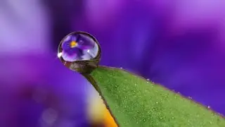 Liquid Lens Microscope(Physics Project)