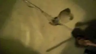 le petit champignon part2