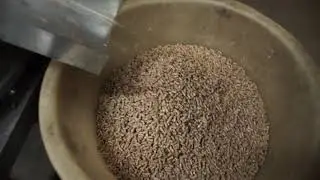 Гранулятор настольный бытовой однофазный ГМ-100 