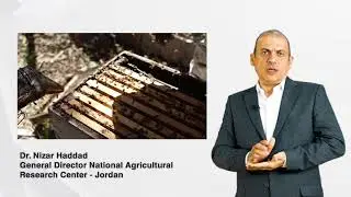 Sustainability in Mediterranean Basin