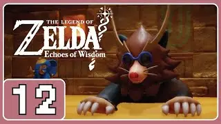 The Legend of Zelda Echoes of Wisdom #12 Mogryph