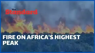 Fire breaks out on Mount Kilimanjaro, Africa's highest peak