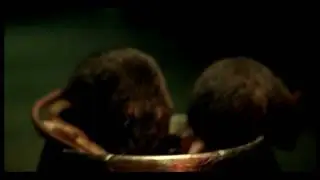 teaser 3 Vlad Topalov PERFECT CRIMINAL