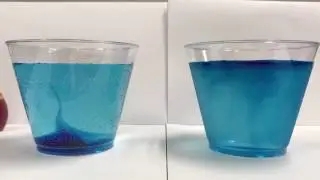 Diffusion of food coloring in water