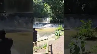 Водопады YS в Сент-Элизабет, Ямайка 🇯🇲 #ysfalls #falls #stelizabeth #jamaica #waterfall