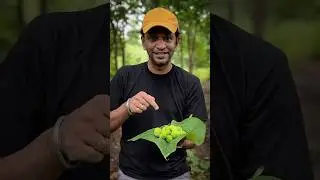 रानात जाऊन शोधली करटोली रानभाजी #rravicha #minivlog #nature #healthyfood
