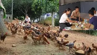 Take care of the free range chickens. And cook lunch for the whitewasher to eat with. ( Ep 388 )