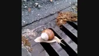 39 sekunder sn&auml;cka